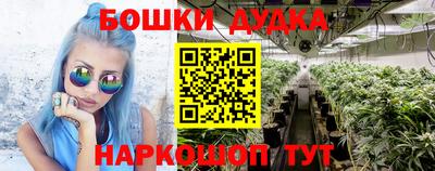 стаф Усть-Илимск