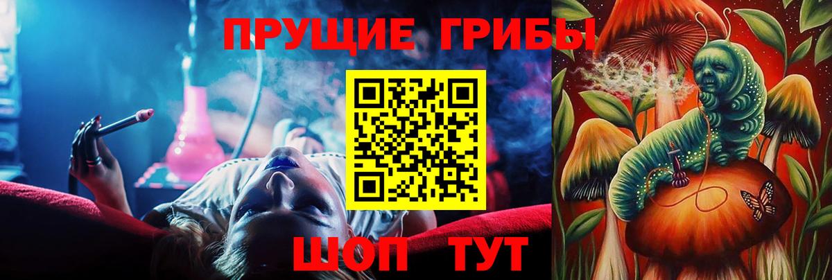 Галлюциногенные грибы GOLDEN TEACHER  Вход с VPN  Лесной 